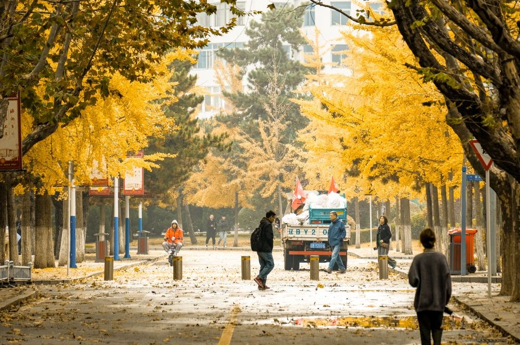 读完这篇，你的大学生活将从一开始就从从容容游刃有余（持续更新）